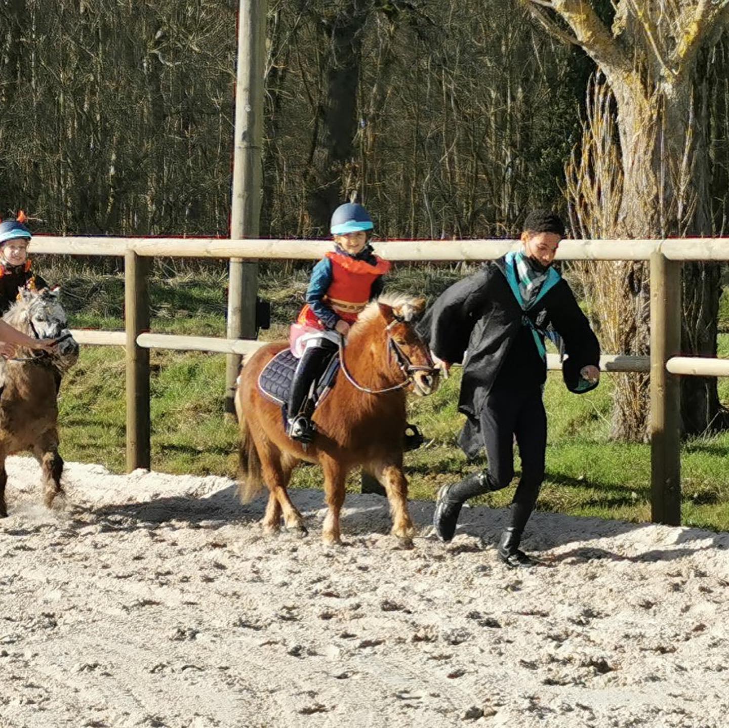 Photo d'un cours d'équitation